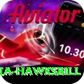 antigua hawksbill Games (Casino & Earning) Gold v1.7.2