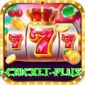 bet365 cricket Prime 2024