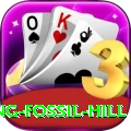 chhusang fossil hill Apps (Tools & Injectors) Premium v2.1.4