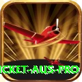 cricket aus - Supreme v2.8.5