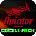 cricket pitch Deluxe v5.4.4