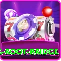 dawki living root bridge Pro v4.8.3
