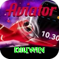 diuwin Pro Edition v5.5.1