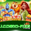 elgordo Turbo v2.8.5