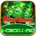 fastest ball in cricket - Elite Earning App