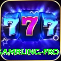 gambling Pro Pakistan