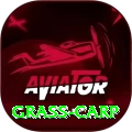 grass carp Games (Casino & Earning) Master v1.5.5