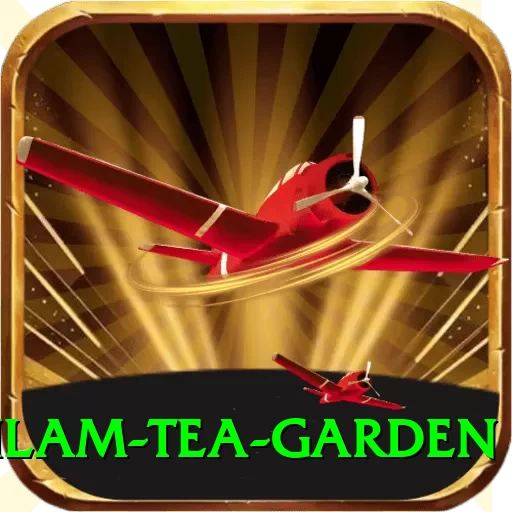 hile ilam tea garden Elite Pro v5.6.9 - 2