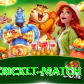india cricket match Gold v4.3.0