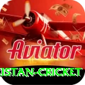 india pakistan cricket Deluxe Edition v5.2.1