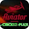 international cricket - Prime v2.5.9
