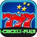 most centuries in cricket Slot Machine Supreme