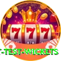 most test wickets Plus v1.2.3