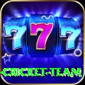 mumbai cricket team VIP Pro v1.5.7