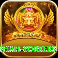 naseem shah yorkers Games (Casino & Earning) Deluxe v1.3.1