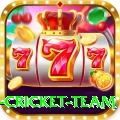 netherlands cricket team VIP v5.6.9