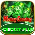 online cricket Games Mega