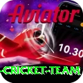 pakistan women cricket team Plus v3.4.1