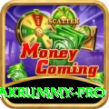 pakrummy Casino Official v1.0.2