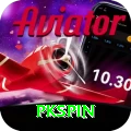 pkspin Gold Pro vv1.4.8