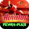 pkwin Plus Edition v1.7.3