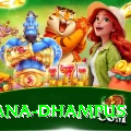 pothana dhampus Max Pro v3.9.5