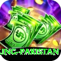 responsible gambling pakistan VIP v4.5.3