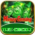 test cricket Deluxe Edition v1.9.3