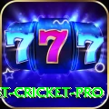 test cricket Deluxe v2.2.3