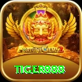 tiger888 Turbo v1.6.0