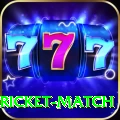 to day cricket match Turbo Pro v4.5.9