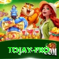 tojay Turbo Pro v3.9.3