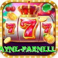 wayne parnell Pro Max v2.0.3
