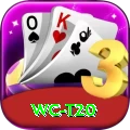 wc t20 VIP v1.3.1